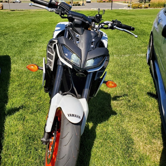 Meet your Posher, Isaac - Picture 1 of 1